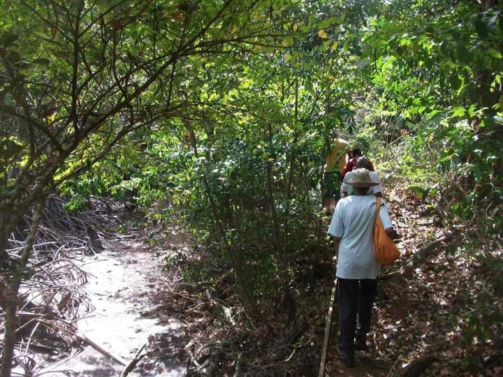 Découvrir la faune et la flore