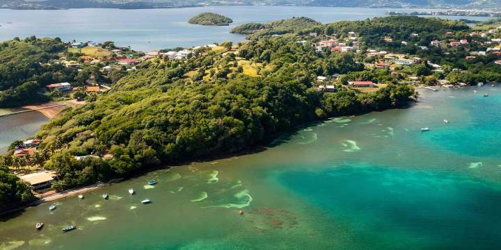 Baie du Robert Martinique