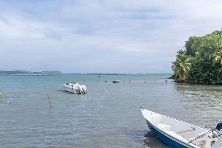 Tours en kayak avec guide Martinique